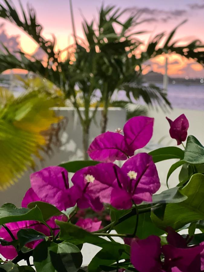 Studio Pirate Of The Caribbean 2 Sea View マリゴ エクステリア 写真